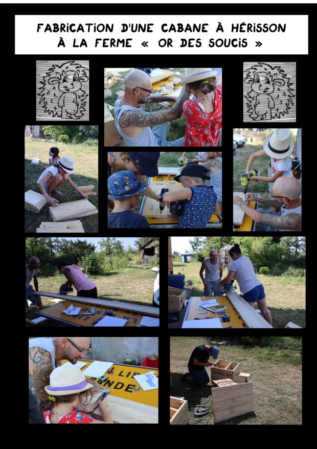 la cabane à hérisson-page-001.jpg